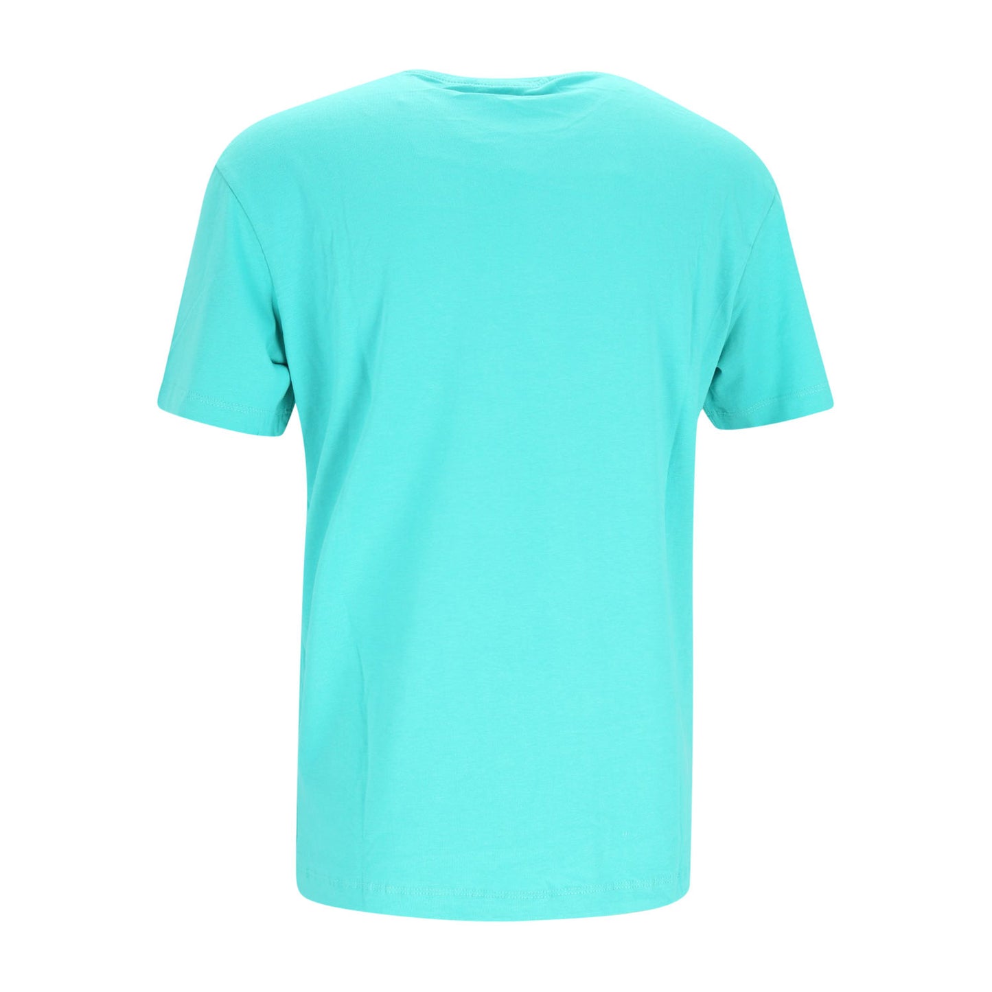 Replay Herren T-Shirt in grün