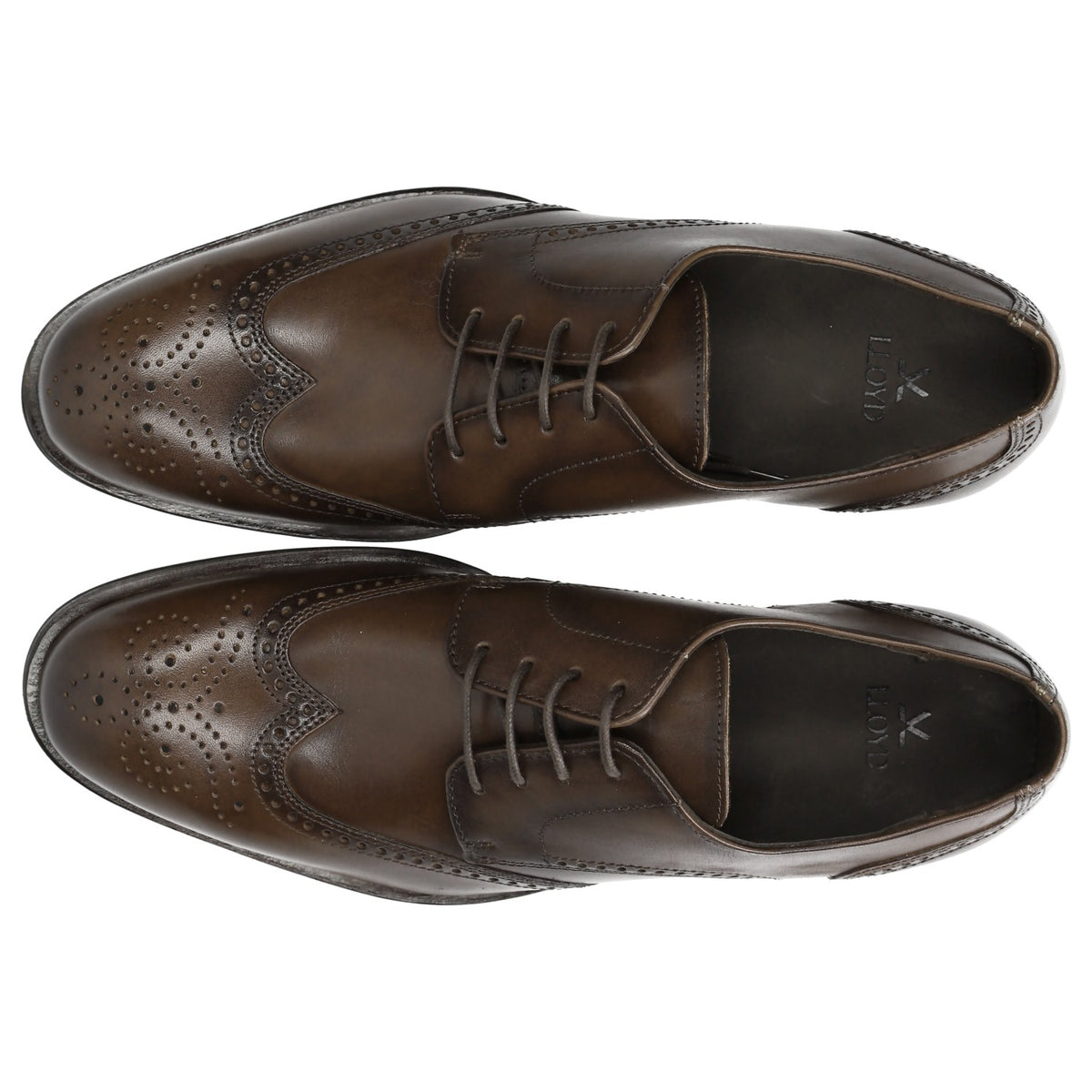 LLoyd-Shoes Herren in braun