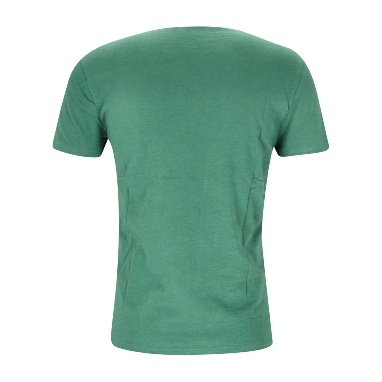 Polo Ralph Lauren Herren T-Shirt in grün