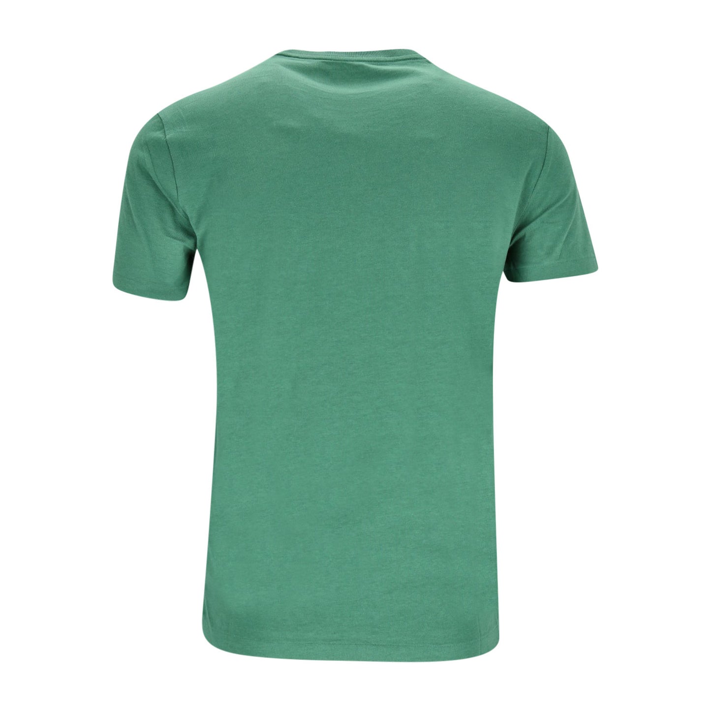 Polo Ralph Lauren Herren T-Shirt in grün