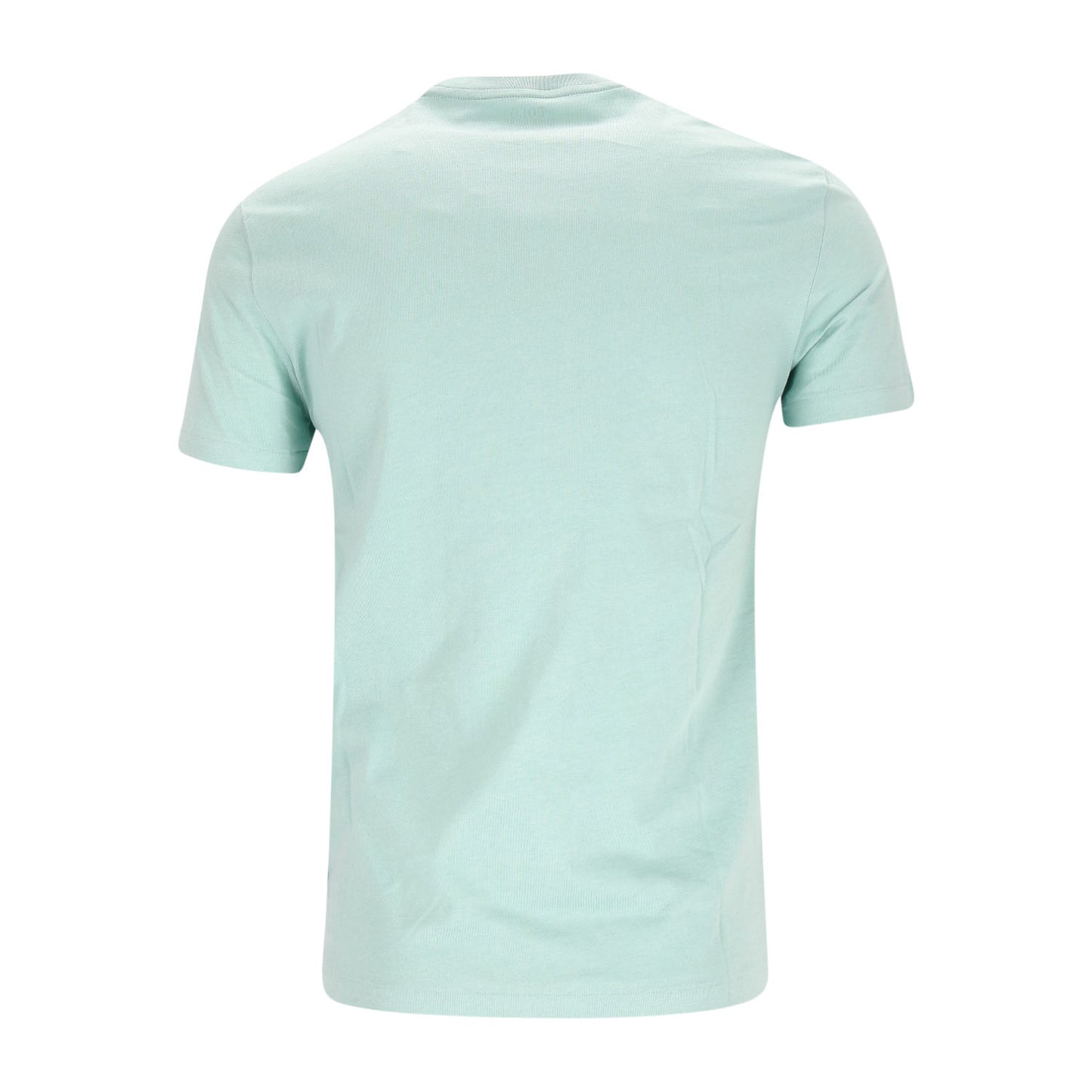 Polo Ralph Lauren Herren T-Shirt in grün