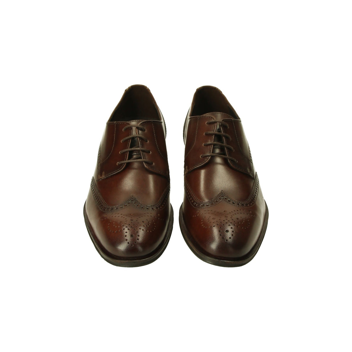 LLoyd-Shoes Herren  in braun
