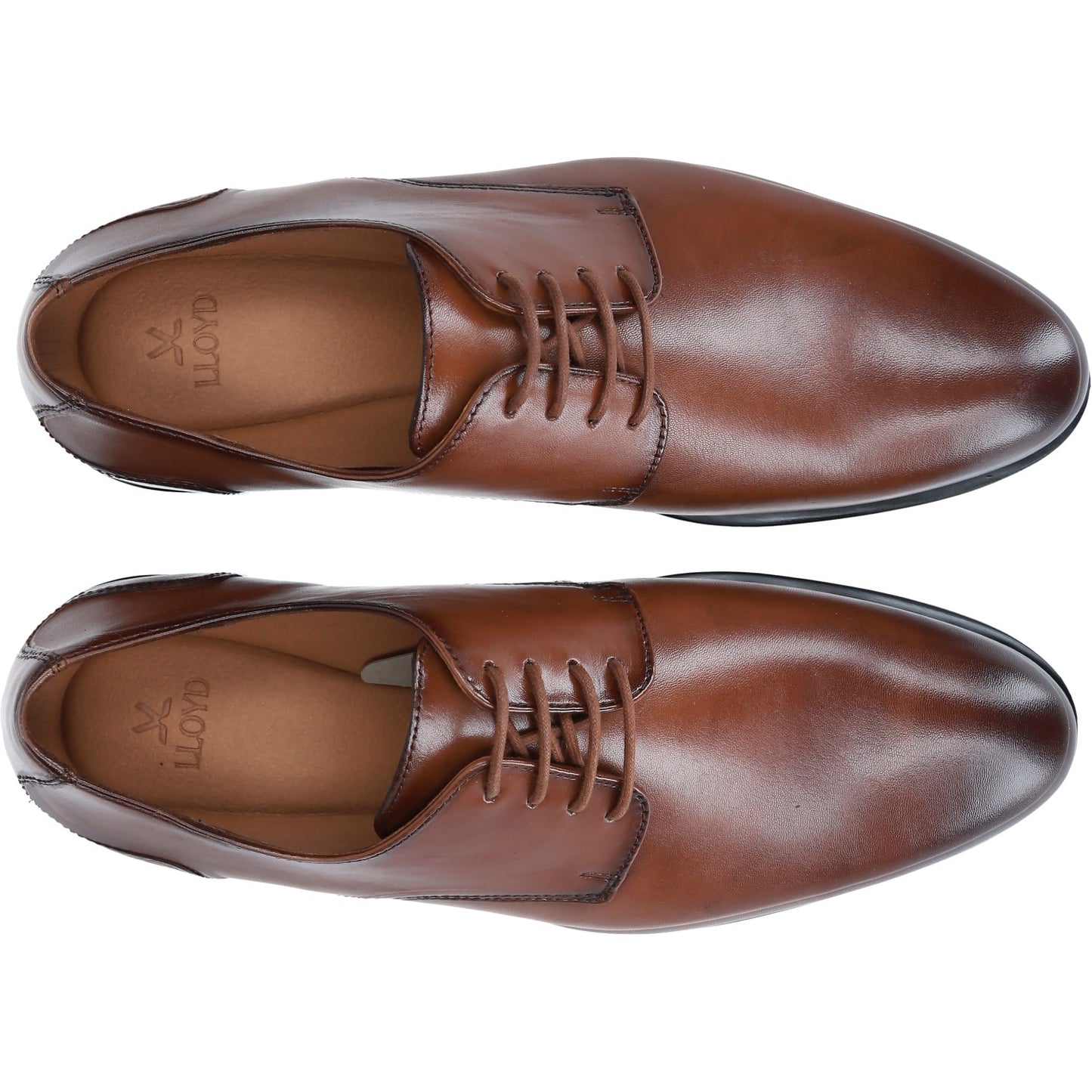 LLoyd-Shoes Herren Schuh in braun