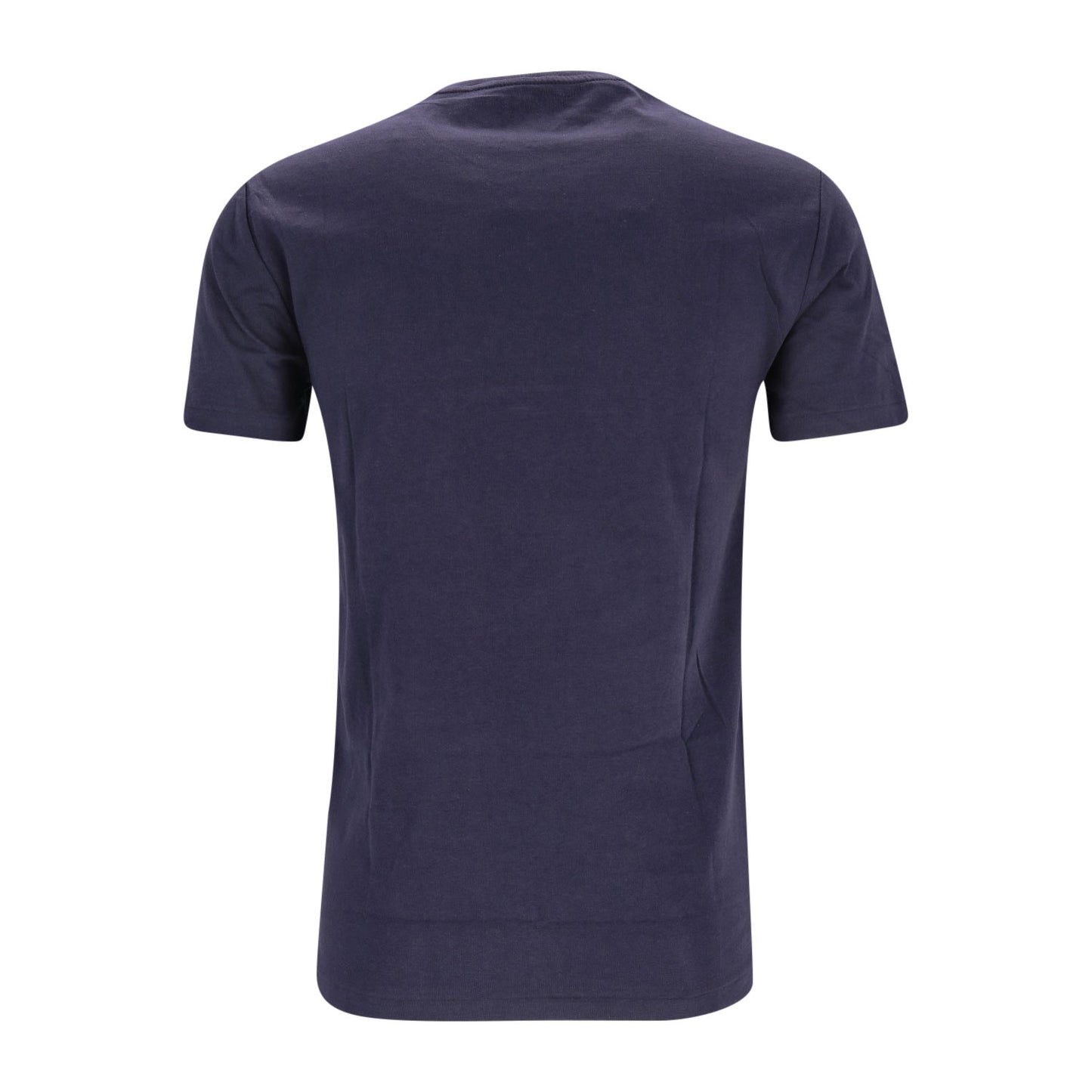 Polo Ralph Lauren Herren T-Shirt in blau