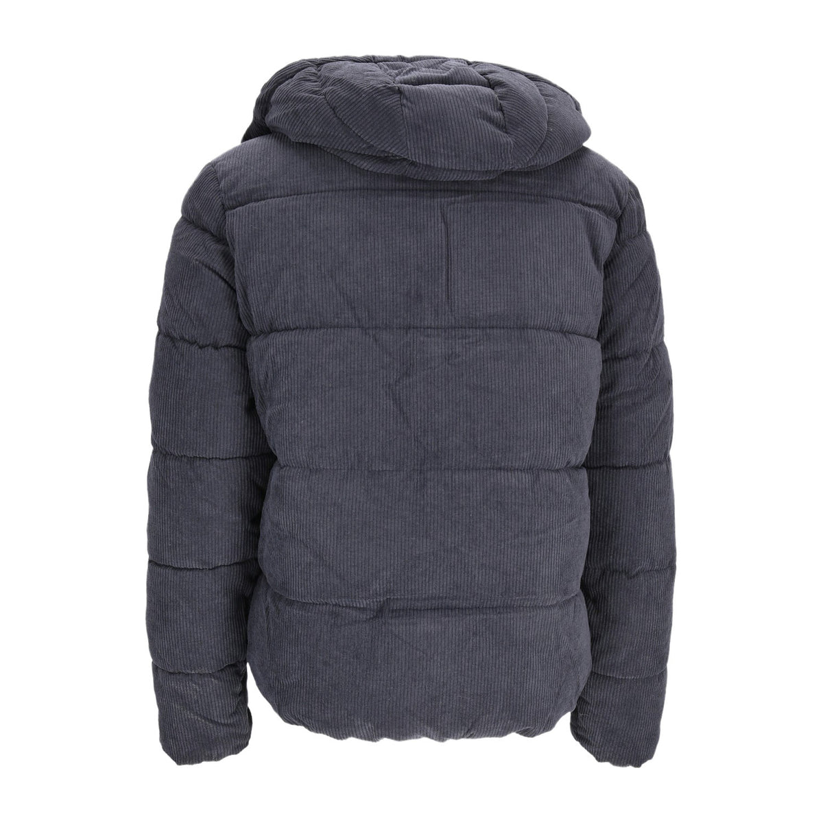 Superdry Herren  in blau