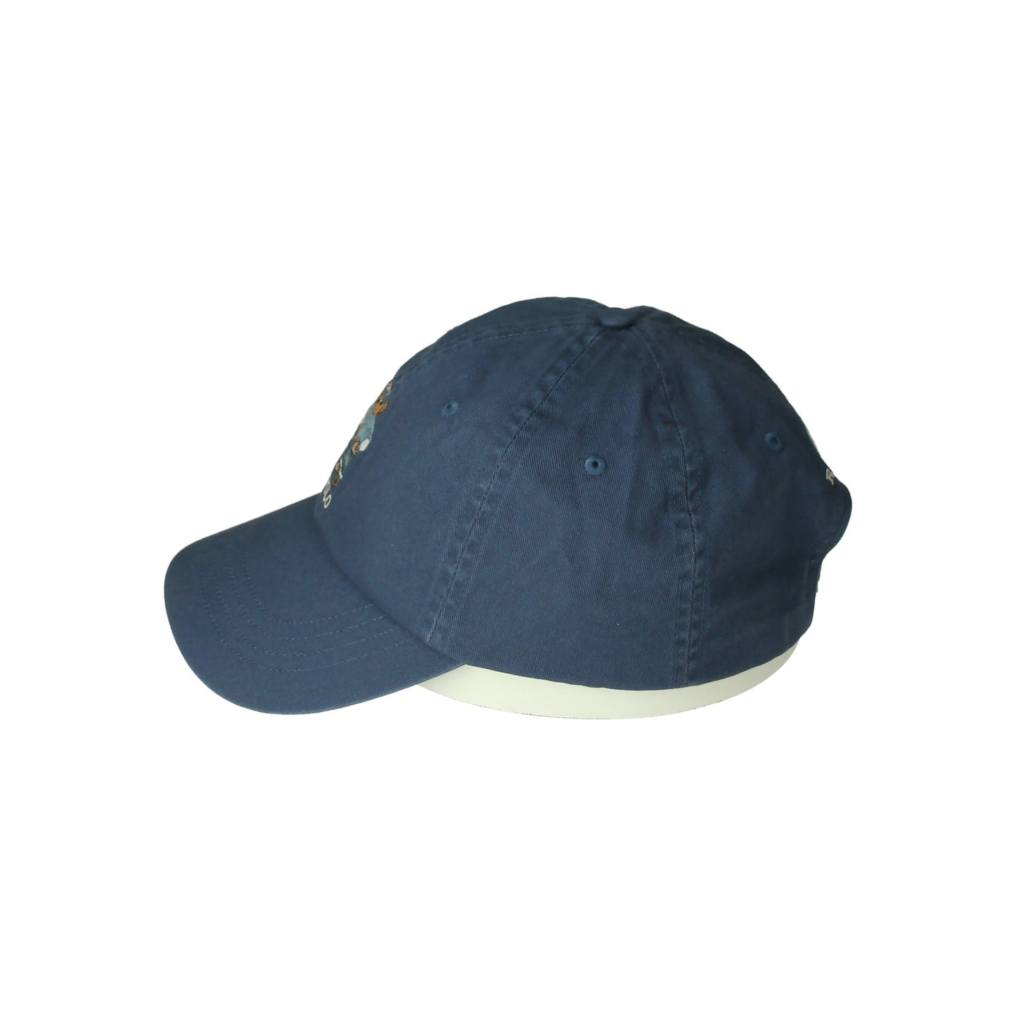 Polo Ralph Lauren Herren Kopfbedeckung in blau