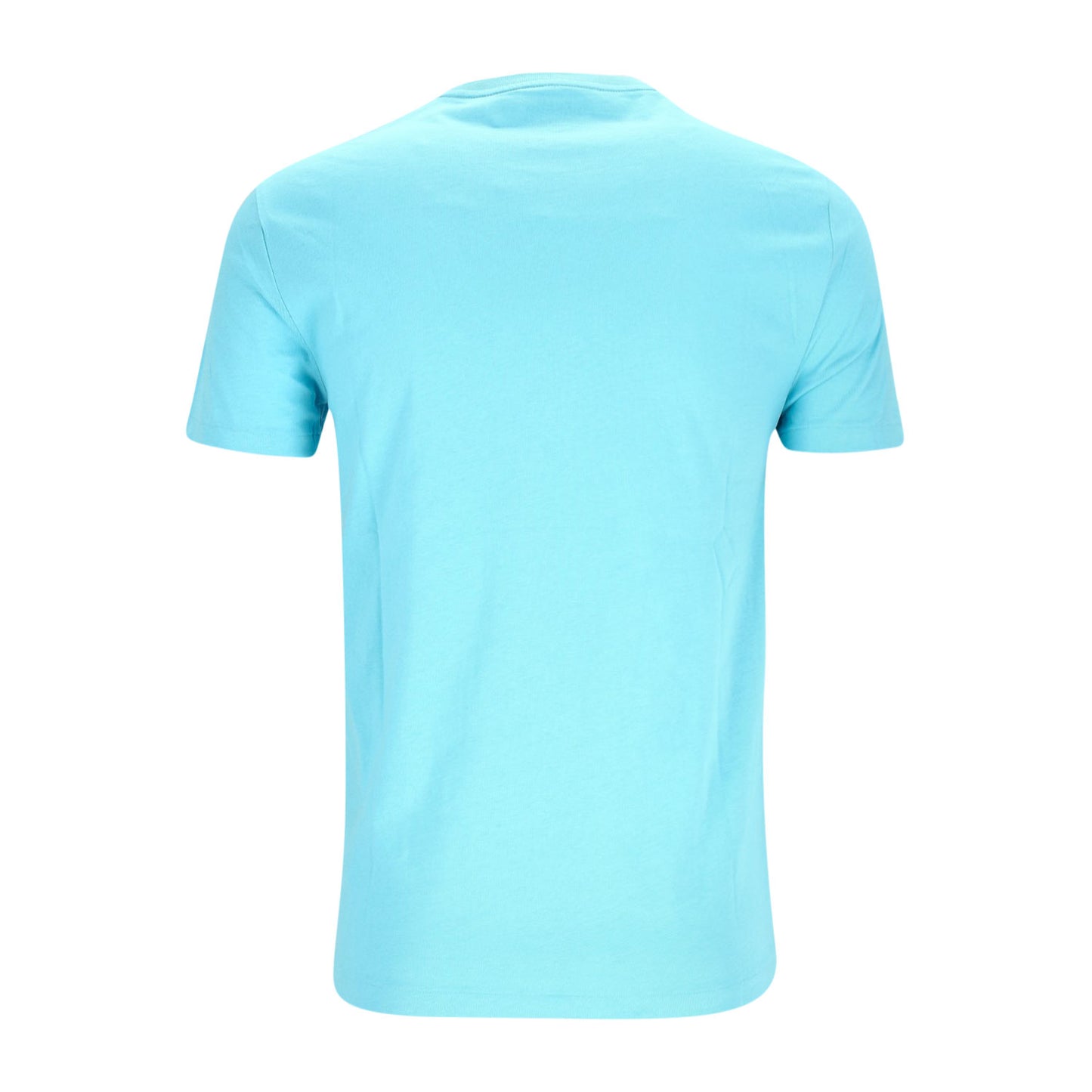 Polo Ralph Lauren Herren T-Shirt in blau